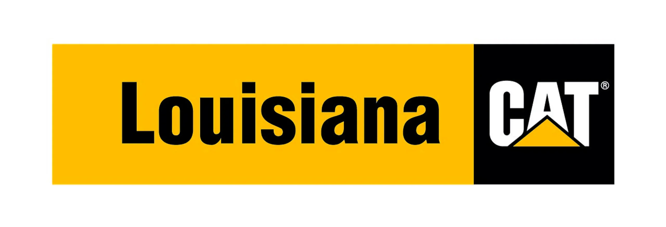 Lousiana cat Lousiana cat